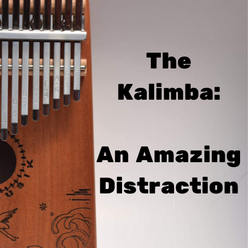 Kalimbas Are An Amazing Distraction!